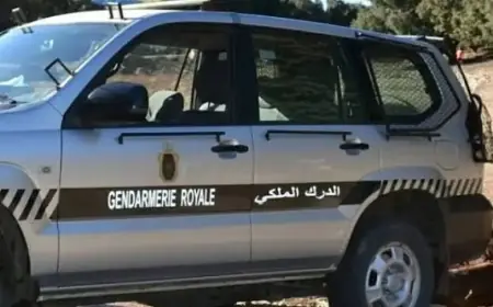 درك بيوكرى يوقف 3 أشخاص ويحجز كميات مهمة من الشيرا و"ماحيا"