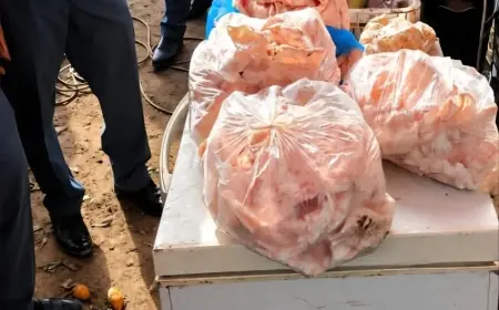 الدرك الملكي يحجز أزيد من 47 كيلوغراماً من اللحوم والدواجن الفاسدة الموجهة للاستهلاك بموسم مولاي عبد الله أمغار