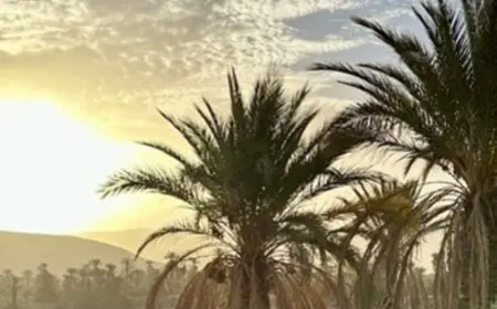 توقعات طقس اليوم الأحد بالمغرب