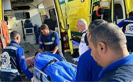 مصرع 15 شخصا وإصابة 32 آخرين في مصر جراء انقلاب شاحنة تقل عمالا بالإسماعيلية