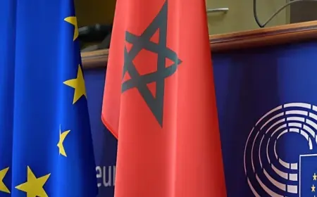 المفوضية الأوروبية ترفض مطالب المزارعين الإسبان والفرنسيين وتتمسك بالشراكة الزراعية مع المغرب