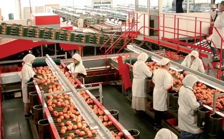 Produits agricoles marocains : Bruxelles rejette les revendications des agriculteurs espagnols et français et maintient le partenariat avec le Maroc