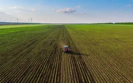 Maraîchage à Casablanca-Settat : 56.709 ha réalisés, le programme 2025-2026 dépassé grâce à la pluie