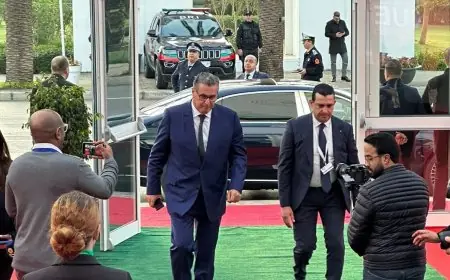 Rumeur d'accident d'Akhannouch près d'Agadir : l'entourage du chef du gouvernement dément
