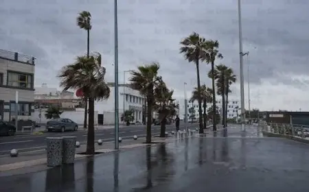 Alerte météo orange : orages, grêle et rafales de vent attendus dans l’Oriental ce mercredi