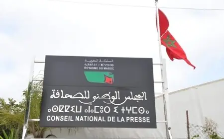 اللجنة المؤقتة لتسيير المجلس الوطني للصحافة تعلن استمرار آجال الانتخابات وإجراءات الترشح حتى خلال أيام العطل