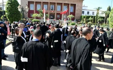 المحامون يقررون مواصلة الإضراب