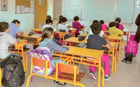 Rentrée scolaire 2026-2027 : le ministère impose le démarrage des cours le 7 septembre et durcit le suivi des absences