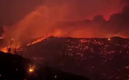 Algérie : au moins 73 morts dans des incendies à Jijel