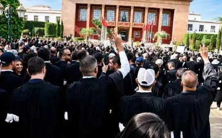 محامو المغرب يحذرون من توظيف خلافهم المهني للإساءة إلى المملكة