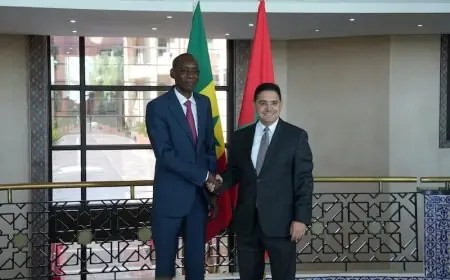 Maroc - Sénégal : Cheikh Niang salue une "relation fusionnelle et unique en Afrique"