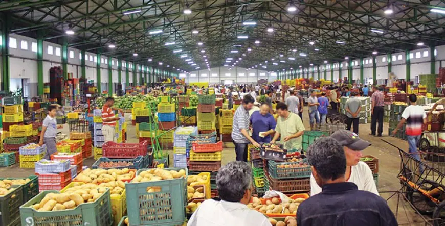 Abondance inédite sur les marchés de gros : les prix des fruits et légumes se stabilisent en plein pic estival