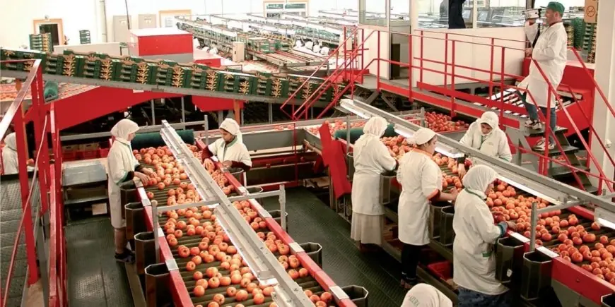 Produits agricoles marocains : Bruxelles rejette les revendications des agriculteurs espagnols et français et maintient le partenariat avec le Maroc