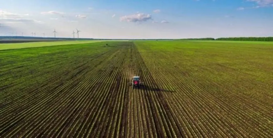 Maraîchage à Casablanca-Settat : 56.709 ha réalisés, le programme 2025-2026 dépassé grâce à la pluie
