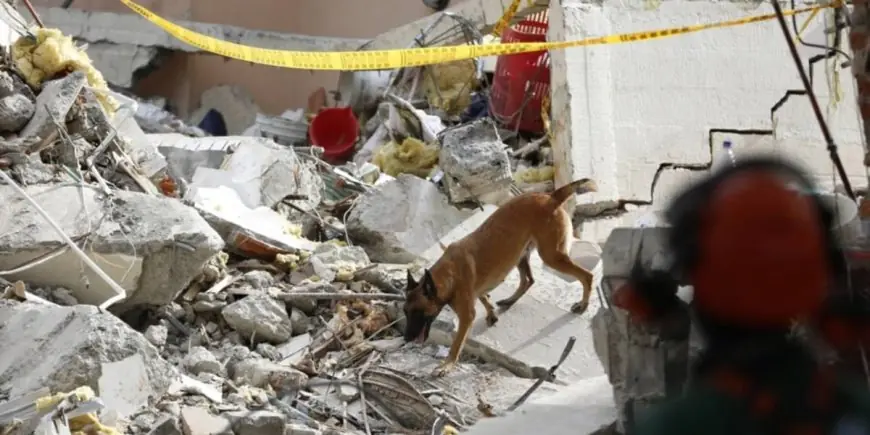 Séisme de magnitude 5,5 au large du Salvador : secousses ressenties jusqu'au Honduras et au Nicaragua sans dégâts