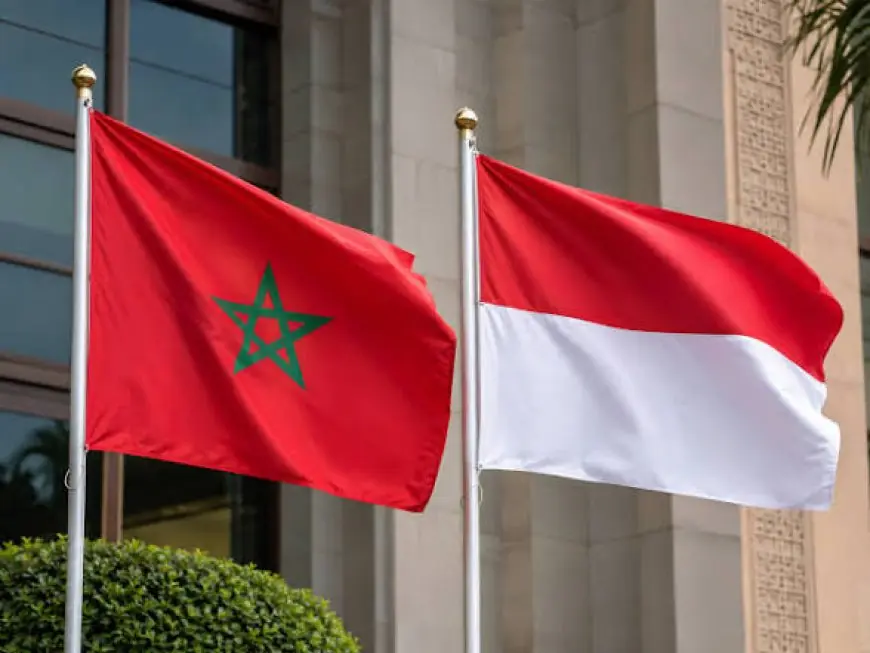 Accord de libre-échange : le Maroc et l’Indonésie visent 2027
