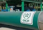 OCP : une rentabilité sous pression au premier semestre 2026 mais des fondamentaux toujours solides