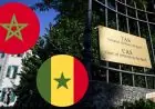CAN 2025 : le TAS fixe l'audience du Sénégal contre la CAF et le Maroc au 8 octobre à Lausanne