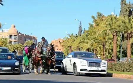 عدد كبار الأثرياء في المغرب يرتفع بـ41.6% خلال خمس سنوات