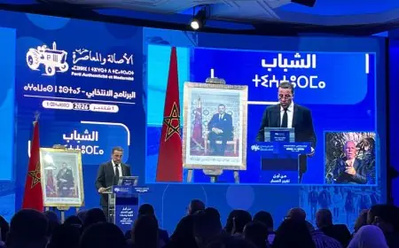 البام يتعهد برفع الدعم الاجتماعي المباشر إلى 1000 درهم وإلغاء المؤشر