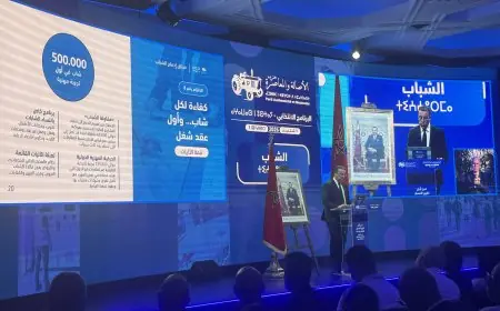 الأصالة والمعاصرة يضع الشباب في صدارة برنامجه الانتخابي ويقترح خطة لإدماج مليون شاب