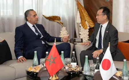 حموشي يتباحث مع السفير الياباني تعزيز الشراكة وتوسيع التنسيق الأمني بالرباط