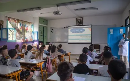 وزارة التربية الوطنية تكشف حقيقة ضم الأقسام والتسبب في الاكتظاظ بسبب برنامج الدعم التربوي بمؤسسات الريادة
