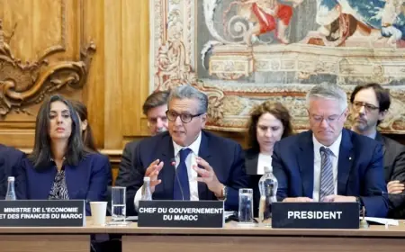 عزيز أخنوش يتباحث بباريس مع الأمين العام لمنظمة التعاون والتنمية الاقتصادية