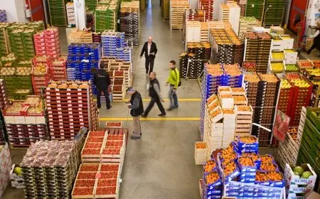 Commerce de gros au Maroc : une stabilité anticipée pour le troisième trimestre 2026