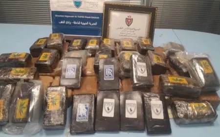 الكركرات..حجز 300 كيلوغرام من الشيرا وإيقاف شخصين