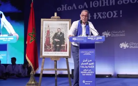 كلمة فوزي لقجع عضو المكتب السياسي لحزب الأصالة والمعاصرة خلال لقاء حزبي بمدينة مراكش