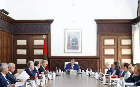 مجلس الحكومة يصادق على مشروع مرسوم تعديل اختصاصات المؤسسات الجامعية والشهادات الوطنية