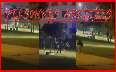 توقيف شخصين بسبب الشغب الرياضي وحيازة السلاح الأبيض بالدار البيضاء