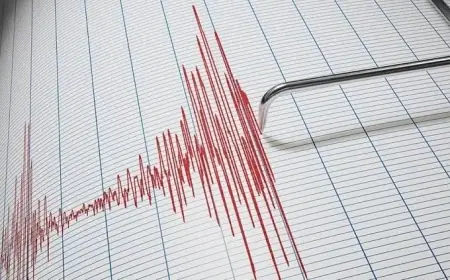 هزة أرضية بقوة 4,9 درجات تضرب جزر بونين باليابان
