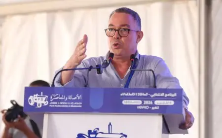 لقجع يكشف من تنغير حزمة “البام” لدعم القدرة الشرائية للمغاربة