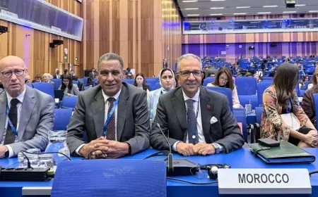 انتخاب المغرب رئيساً لاتفاقية "أفرا" النووية الإفريقية