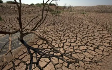 الأرصاد الجوية العالمية: 2025 من أكثر الأعوام جفافا على مستوى تدفق الأنهار خلال 35 عاما