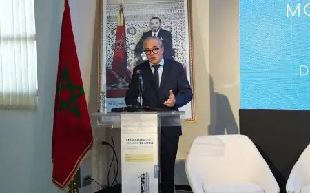 Rabat-Salé-Kénitra : Le GST consacre la deuxième session des Assises des Filières de Soins à la santé maternelle et infantile