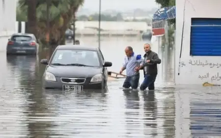 Orages et grêle à Tunis : les écoles fermées et le trafic à l'arrêt