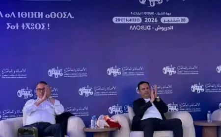 لقجع يهاجم المتباهين بالإنجازات والاتفاقيات: اللي دار هو للمغرب واللي تيربحو هما المغاربة