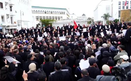Loi sur la profession d'avocat : les barreaux prolongent la grève jusqu'au 7 octobre