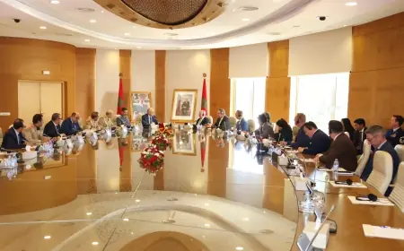 تنفيذا للتعليمات الملكية.. لوديي يستقبل وفدا من الكونغرس الأمريكي