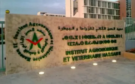 تأخر تسوية الوضعية يدفع الأساتذة الباحثين الأطباء والبياطرة إلى الاحتجاج