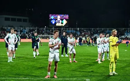 لاعبو إيرلندا يحسمون موقفهم من مواجهة إسرائيل في دوري الأمم الأوروبية