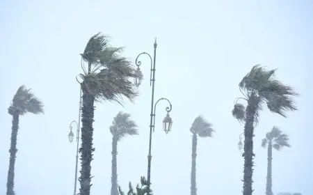 Météo : alerte orange aux orages et à la grêle ce dimanche dans plusieurs provinces