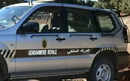 درك تيزنيت يفكك مصنعا سريا لإنتاج "الماحيا" ويوقف المشتبه فيه الرئيسي