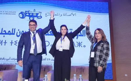 “البام” يعلن استعداده لتحمل المسؤولية في وقائع مكاتب التصويت بطنجة