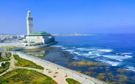 TTDI 2026 : le Maroc grimpe de 7 places et devient 3e en Afrique