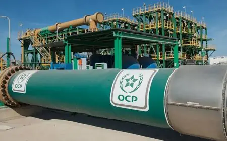 تراجع صادرات الأسمدة يقلص إيرادات OCP إلى 48.37 مليار درهم