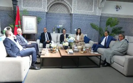 شوكي عقب لقاء المنصوري: المشاورات جرت في أجواء مسؤولة وبوضوح وصراحة